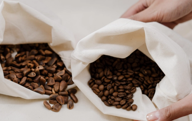 Arabica czy robusta - czym się różnią i którą wybrać?