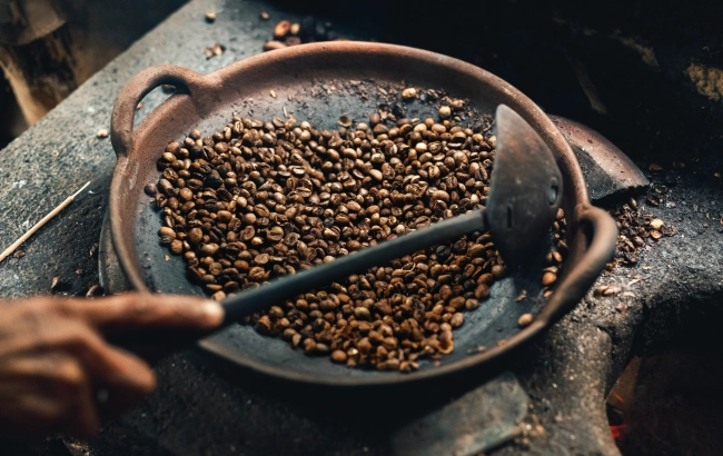 Kopi luwak - czym jest i ile kosztuje? Jak parzyć kawę z odchodów łaskuna?