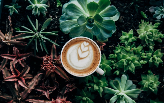 Tradycje kawowe w Polsce i na świecie