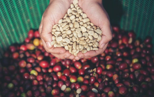 Obrobka sucha vs mokra. Jak obróbka ziaren wpływa na smak kawy?