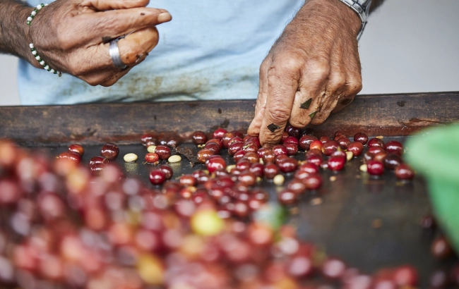 Podróże z kawą: RWANDA [aktualizacja]