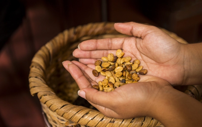 Podróże z kawą: PERU