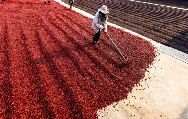 METODY OBRÓBKI KAWY - część II