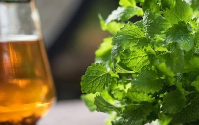 Zielona herbata czy melisa? Herbata na uspokojenie w ciąży.