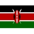 Kenya The Slopes of 8 AA microlot waga 1000g