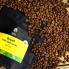 Brazil Sitio Sao Lucas Natural Espresso waga 1000g