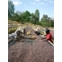 Ethiopia Sidamo Dimtu Heirloom Natural waga 250
