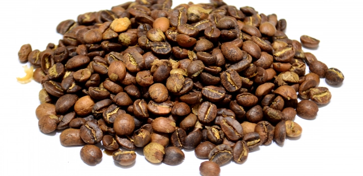 Odmiana kawy: PACAMARA