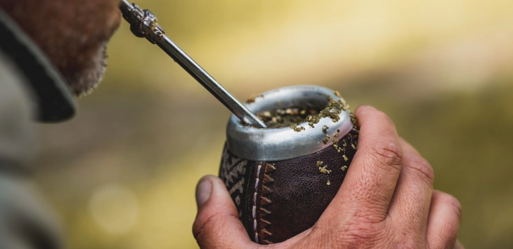 Yerba mate Amanda - jak powstała polska yerba mate?
