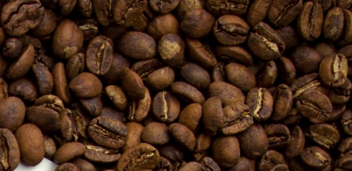 Odmiana kawy: Acaia IAC 474-1