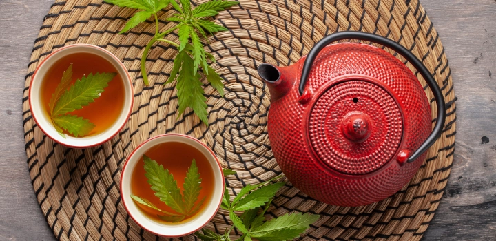 Herbata z konopi - na co pomaga? Czy herbata konopna zawiera CBD i THC?