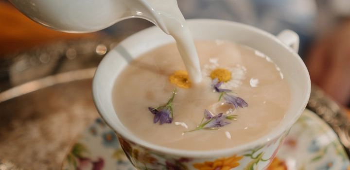 Jak czyścić porcelanowe filiżanki i dzbanek na herbatę? Jak usunąć plamy z porcelany?
