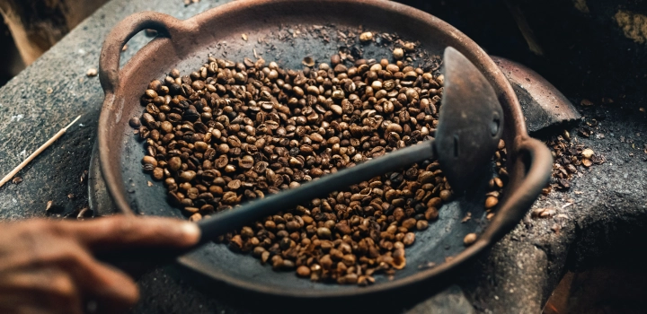 Kopi luwak - czym jest i ile kosztuje? Jak parzyć kawę z odchodów łaskuna?