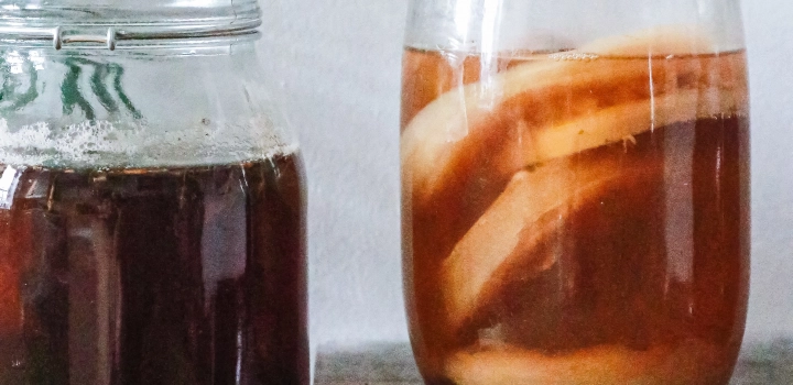 Co to grzybek herbaciany i czym jest kombucha?