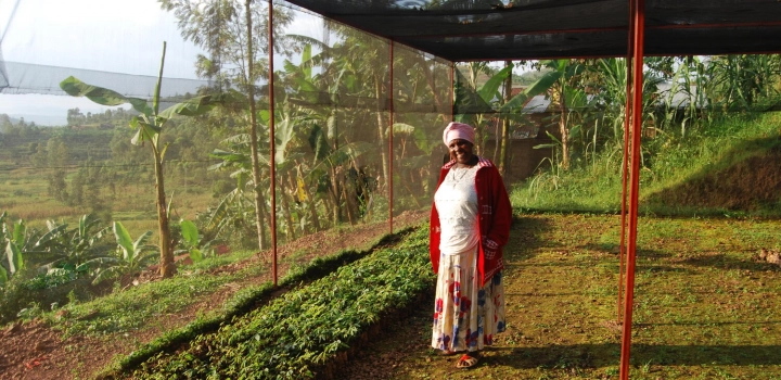 Skąd pochodzą nasze kawy? Rwanda Abakundakawa