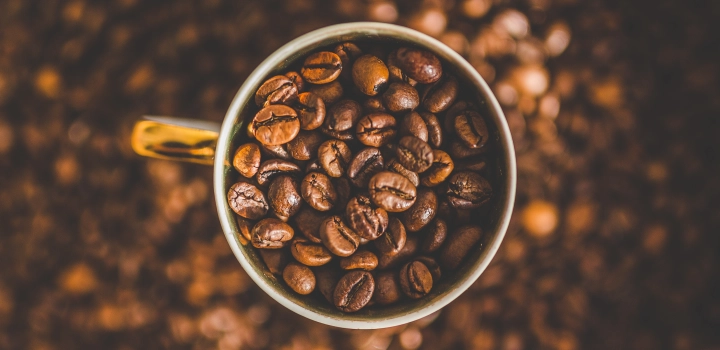 Coffea Canephora: Odkryj Świat Kawy Robusta, Conilon i Ngada