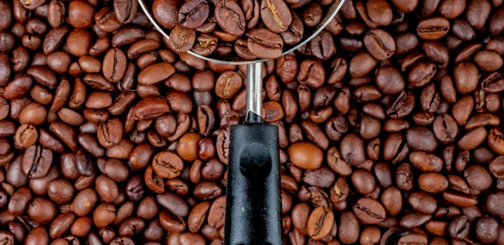 Odkryj różnorodność smaków kawy. Poznaj profil smakowy kawy Arabica i Robusta