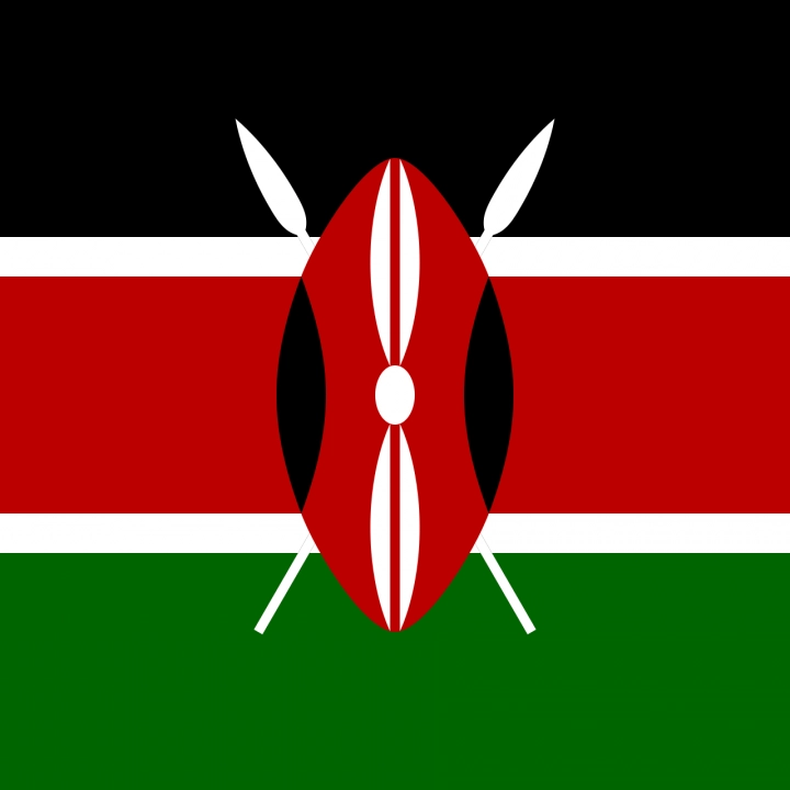 Kenya The Slopes of 8 AA microlot waga 1000 - zdjęcie 1