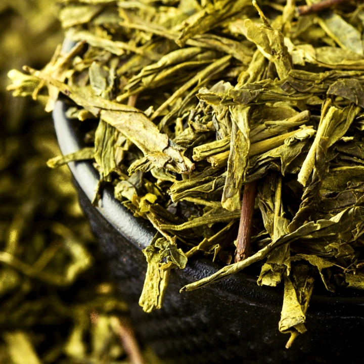 Sencha waga 100