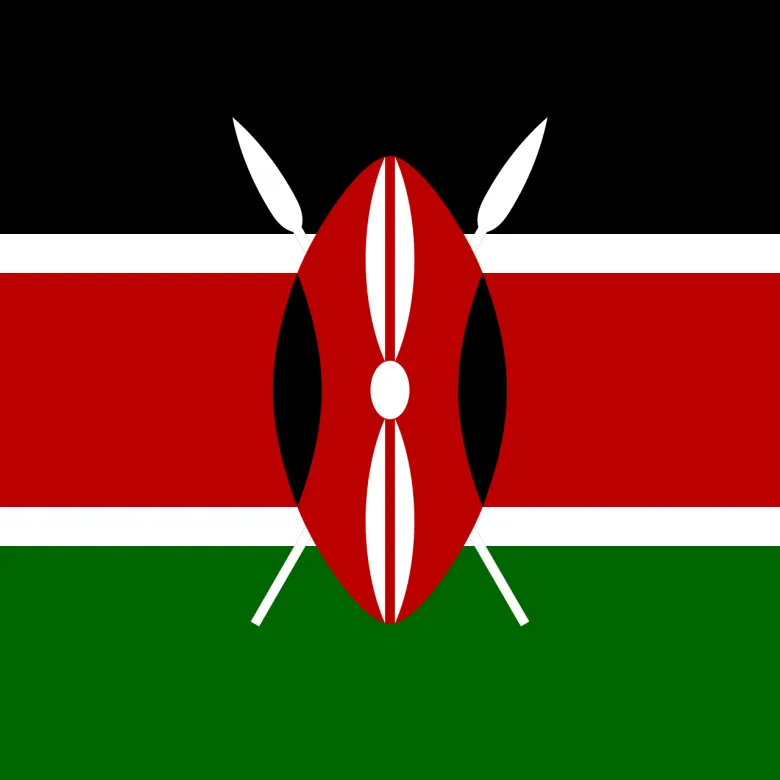 Kenya The Slopes of 8 AA microlot waga 1000 - zdjęcie 1