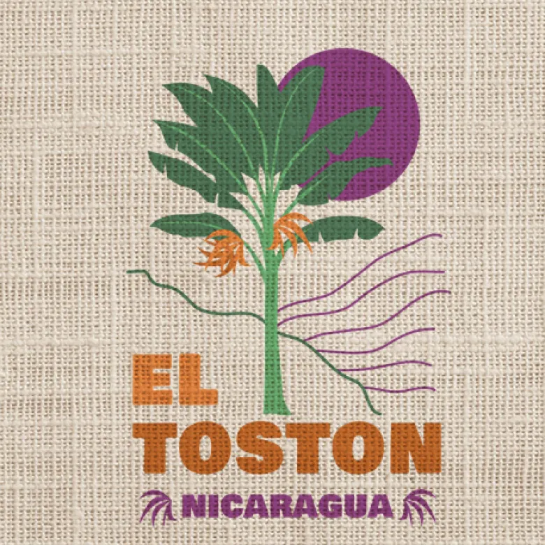 Nicaragua Dipilto El Toston Washed waga 250 zmielona do french press / Aeropress